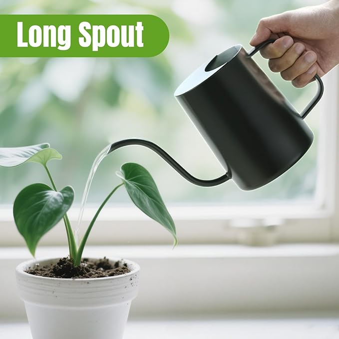 34 oz / 1000 ml Watering Can Indoor Plants, Stainless Steel Plant Watering Can with Long Spout (Black)