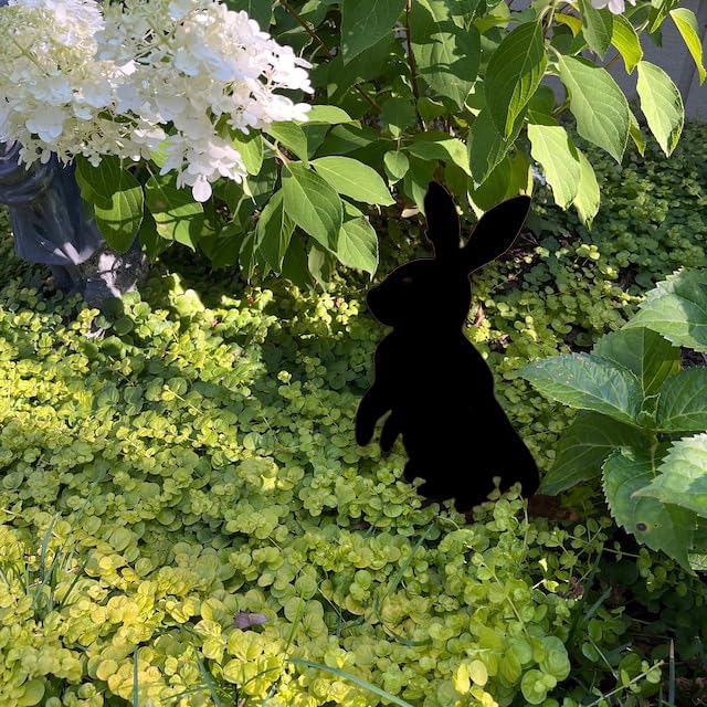 Metal Rabbit Yard Stake, Rustic Rabbit Standing Art, Easter Bunny, Easter Spring Decor, Metal Garden Stake, Metal Yard Art(Black,9”x16” /23cm x 41cm)