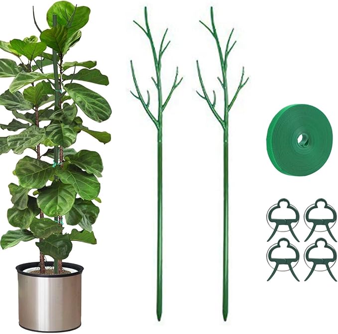 Plant Support Stakes for Indoor Plants, Trellis for House Potted Plants Flower, Monstera Support Sticks with Orchid Clips, Twist Ties(2 Pack Green)