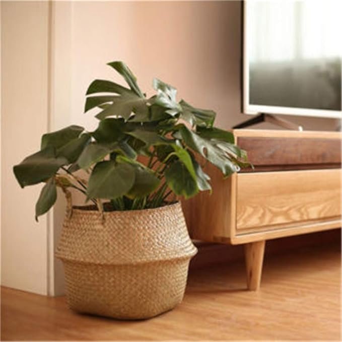 Woven Seagrass Belly Baskets with Handles for Planter Storage Flower Pot Cover Organizer&Laundry,Picnic Fruit&Grocery Baskets,Foldable Handmade Wicker Rattan Basket Hanging Decorative Baskets