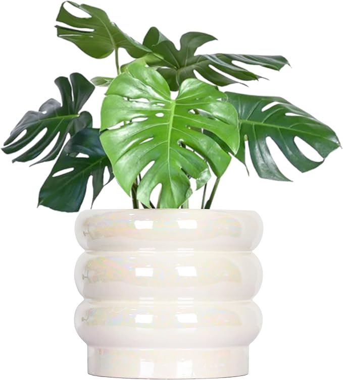 8 Inch Ceramic Plant Pots for Indoor Plants, White Flower Pot, Rainbow Pearl Glaze Planter with Planters for Plants with Drainage Hole
