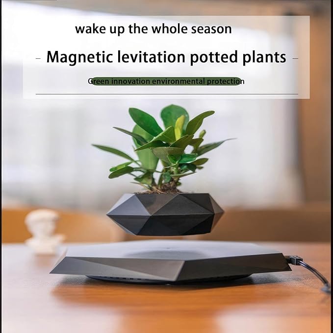 Magnetic levitation Potted Plants, Rotating Flower pots, Suitable for Home Decoration Bonsai, Creative Fashion Ornaments (Color : C)