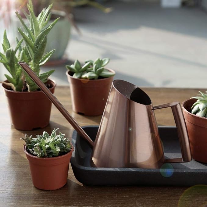 Household Bonsai Stainless Steel Watering Can, Mini Brushed Indoor House Plants Long Spout Watering Can Modern Watering Pot, Rose Gold(L)