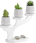 Bamboo Tabletop Plant Stand Indoor, 3 Tier Wood Desktop Small Plant Shelf Window Sill Flower Holder Mini Tiered Plant Display Rack for Patio Balcony Living Room Decor (white)