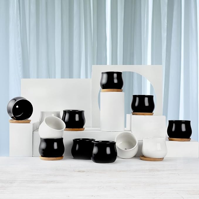 SHECIPIN 8 Pack Succulent Plant Pot, Matte Black Mini 2.6 inch Ceramic Flower Planter Pot with Bamboo Tray, Small Pots for Plants, Plants Not Included