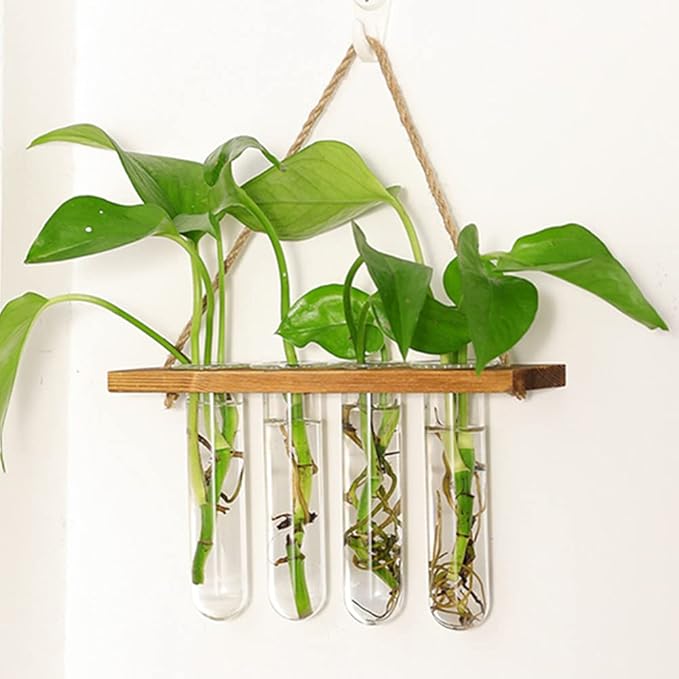 Wall Hanging Planter Terrarium with Wooden Stand, Mini Test Tube Flower Vases Retro Hanging Glass Planter Propagator for Hydroponic Plants Cutting Home Decor, 4 Propagation Tubes
