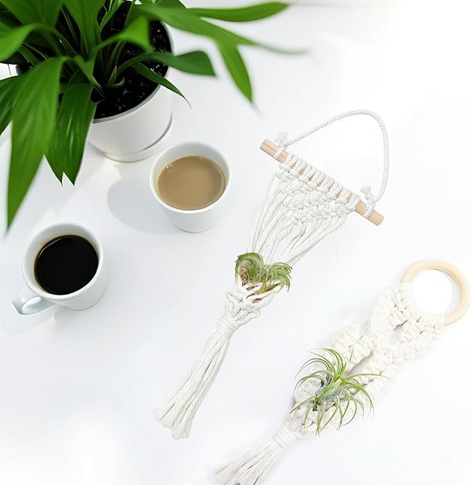 Belit 4 Pack Air Plants Holders, Wall Hanging Air Fern Stand, Macrame Plant Hanger with 4 Hooks for Home Decoration (NO Plant Included)