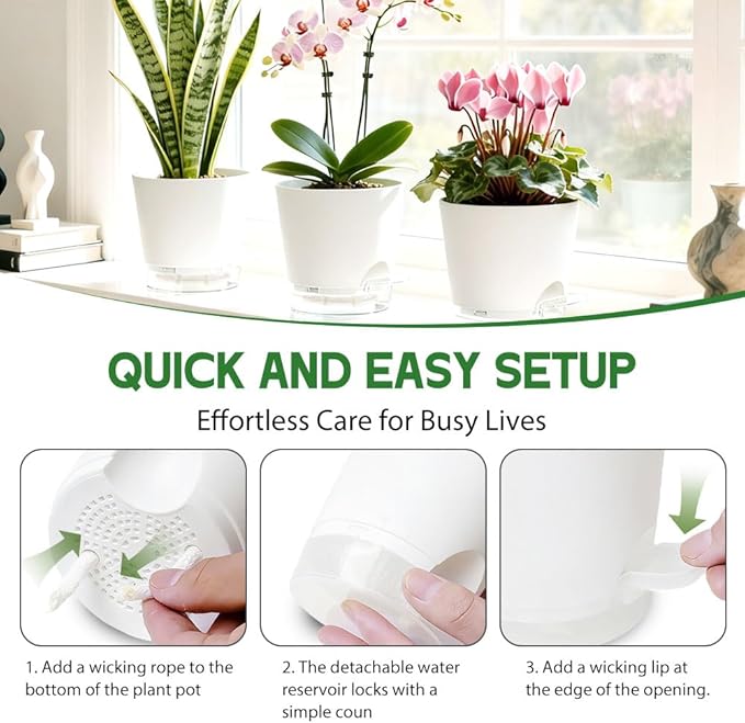 Self Watering Pots for Plants, 2026 New Flower Plant Pots with Drainage Holes, Wicking and Clear Reservoirs for Succulent, Aloe, Cacti and Others - 6 Pack (White, 4")
