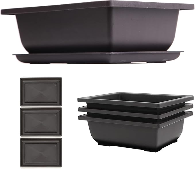 C CRYSTAL LEMON Bonsai Training Pots with Drip Trays, 3-Pack, 9” L x 6.7” W x 3” H Rectangular Plastic Planters with Drainage Holes & Mesh Screen, for Bonsai, Succulents & Cactus (Large)