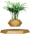 Levitating Plant Pot Air Bonsai & Air Plants Magnetic Floating Planter for Succulents Home Office Desk Decor