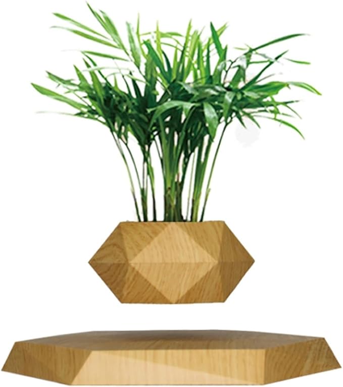 Levitating Plant Pot Air Bonsai & Air Plants Magnetic Floating Planter for Succulents Home Office Desk Decor