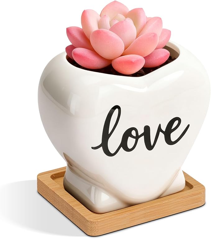 T4U Succulent Pots, 3.9 Inch Succulent Planters with Drainage, Small Cute Plant Pots for Windowsill, Funny Ceramic Plant Pots, Thank You Gift for Teacher, Mom, Friend, for Coworkers