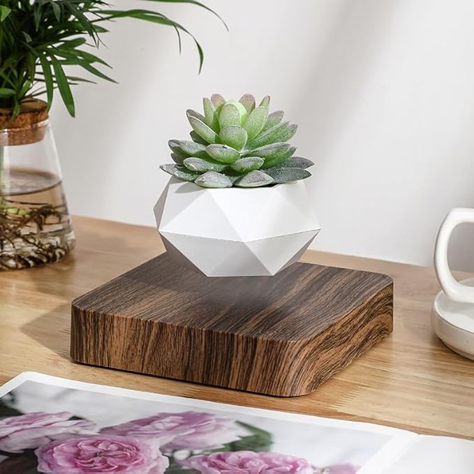 Wooden Levitating Plant Pot, Succulent Pots Planter Cactus Planter, Levitating Decor for Home & Office Magnetic Floating Levitating Display,Marble /2438