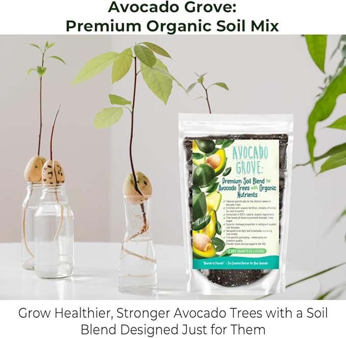 GARDENWISE Avocado Tree Soil – Premium Organic Potting Mix for Avocado Trees | Tailored pH & Organic Nutrients | Fast-Draining & Moisture-Retaining | Indoor & Outdoor Use (3 QUARTS)
