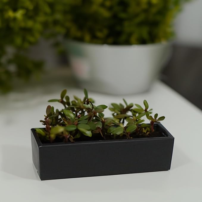 WGVI Long Rectangle Ceramic Planter Vase in Black 14" x 4" x 4"H, Rectangular Box Block Terrarium Pot, Flower Arrangement, Tabletop Centerpiece, Home Decor Organization Storage Container, 4 Pcs.