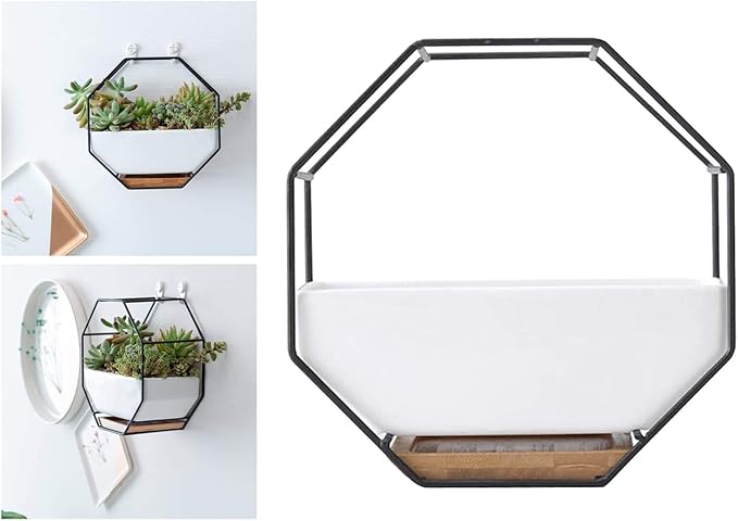 Modern Wall Planter Metal Wire Octagon Design Wall-Mounted Shelves with Ceramic Flower Pot Geometric Hexagon Wall Decor (Color : Black)