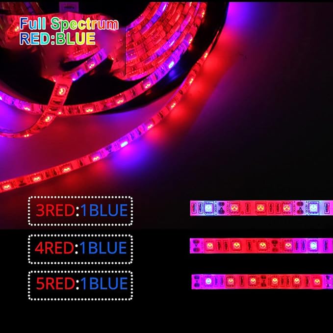 DC 12V LED Grow Light 5M LED Strip Light Full Set Flexible Tape 5050 LED Phyto Plant Growth Lamps for Greenhouse Hydroponic Plant Light (5：1 Full Set, IP20 No-Waterproof)