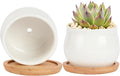 SHECIPIN 2 Pack Succulent Pots, 2.5 Inch Mini Ceramic Pots for Flower or Cactus Plants with Drainage Hole,Plants Not Included (White)