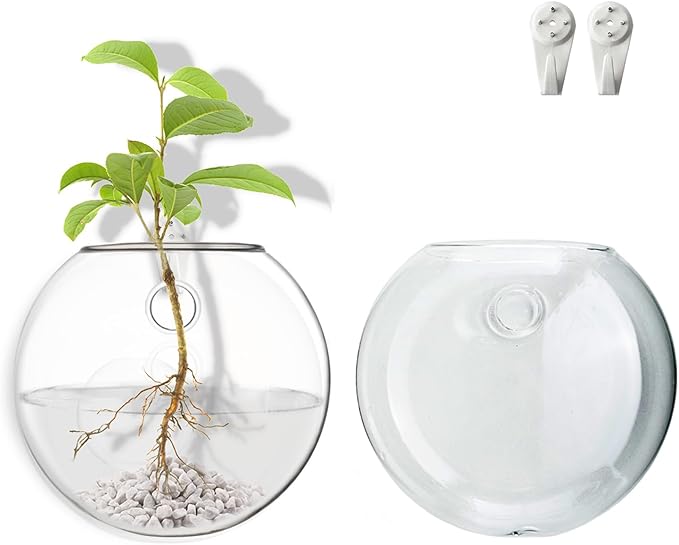 Wall Mount Plant Propagation Station - Clear Hydroponic Glass Vase, Oblate Planter for Indoor Plants | Perfect for Home, Office, Bathroom Decor | Gift for Plant Lovers (2)