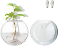 Wall Mount Plant Propagation Station - Clear Hydroponic Glass Vase, Oblate Planter for Indoor Plants | Perfect for Home, Office, Bathroom Decor | Gift for Plant Lovers (2)