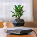 Levitating Plant Pot Hexagon Floating Plant Pot Small Bonsai Planter Levitating Decoration for Home Office