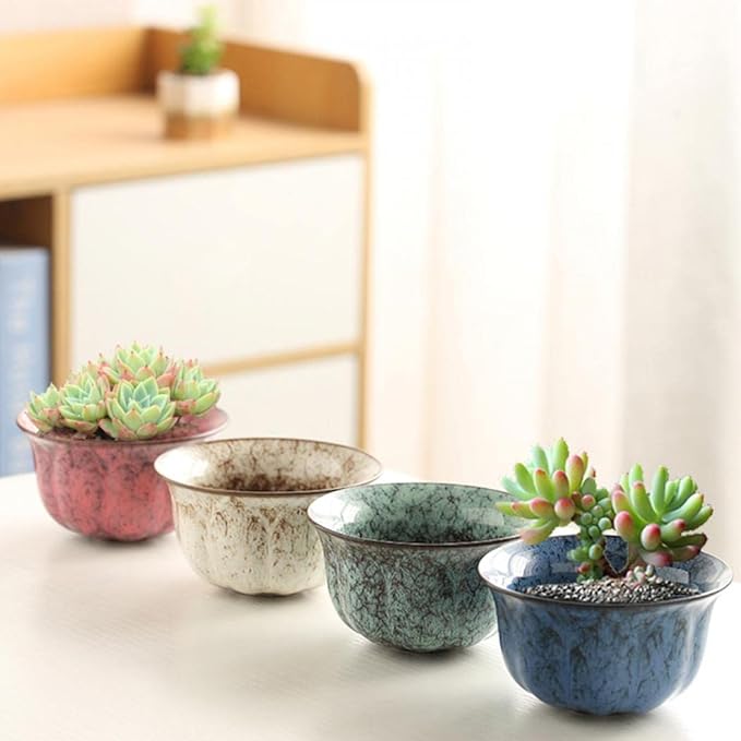 YYW Ceramic Plants Pots 3 Inch Set of 4 Flower Pots with Drainage and Bamboo Tray for Indoor/Outdoor Small House Plants,Foliage Plant (Set 3)