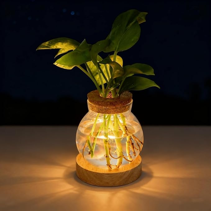 Plant Propagation Station with Light,Everkeen Valentines Day Glass Terrarium with Stepless Dimming Function Hydroponic Glass Container Vase Jars Gardening Gifts for Mom Women Plant Lovers