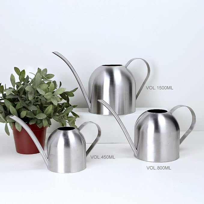 Stainless Steel Water Can for Indoor Plants and Garden (30 oz)