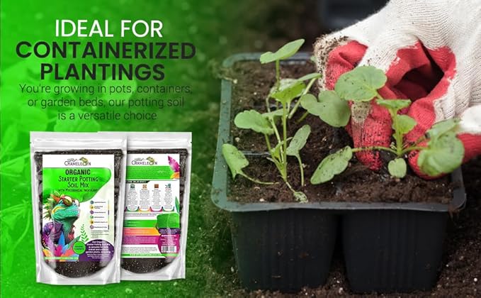 Organic Seed Starter Soil – Seed Starting Mix with Mycorrhizal Fungi – Natural Root Stimulator – Potting Soil for Vegetables and Herbs (4 QUARTS)