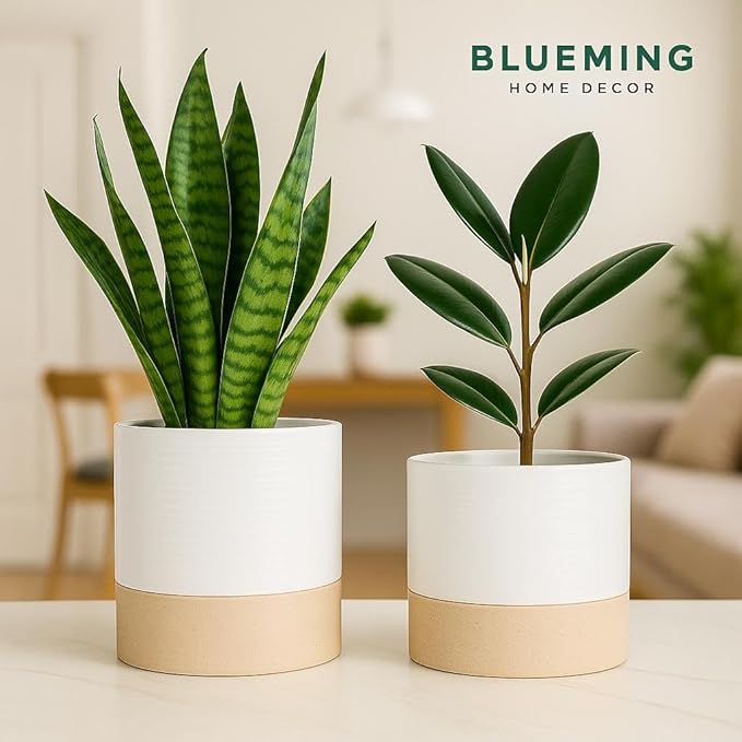 Ceramic Self Watering Plant Pots – 6 Inch Planter for Indoor House Plants with Drainage & Water Storage for Succulents (White & Beige, 7" Tall)