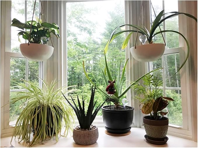 Irrmshr 10 Pack Clear Plant Watering Globes,Plastic Self Watering Bulbs for Indoor Plants,Garden Water Device Automatic Plant Waterer Indoor Outdoor