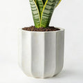 12 Inch Plant Pot – Ceramic Planter with Drainage Hole & Removable Drain Plug, Decorative Flower Pot for Indoor Outdoor Plants, Modern Round Large Planter, Cream White