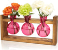 XXXFLOWER 3 Bulb Glass Propagation Station with Wooden Stand, Propagation Vase Propagated Plant Holders Tabletop Planter, Gardening Hydroponics Gifts Home Office Indoor Decor (Pink)