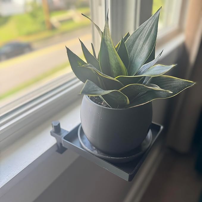 Windowsill Plant Shelf with Clamps, 6x6 Detachable Tray, Clamps fit 0.5 to 1.25 Inch Flat Non-Curved Ledges, 3D Printed Plastic, Perfect for Small Plants, Antennas, Radios, Pots