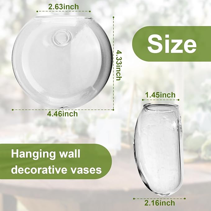 Wall Mount Plant Propagation Station - Clear Hydroponic Glass Vase, Oblate Planter for Indoor Plants | Perfect for Home, Office, Bathroom Decor | Gift for Plant Lovers (4)