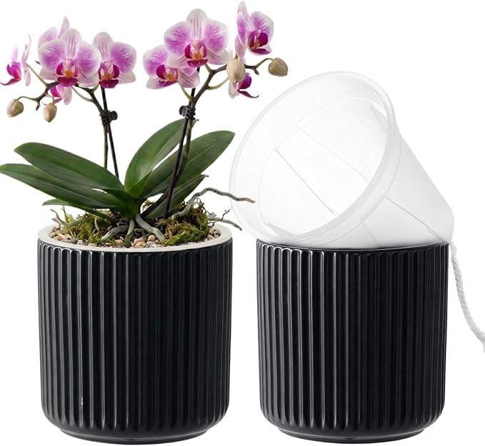 2 Pack of 4in Ceramic Cachepot with 4 inch Clear nusery Pot - self Watering Indoor Planter with Drainage for Root Visibility,semi Hydro pots for repotting Succulent,Black