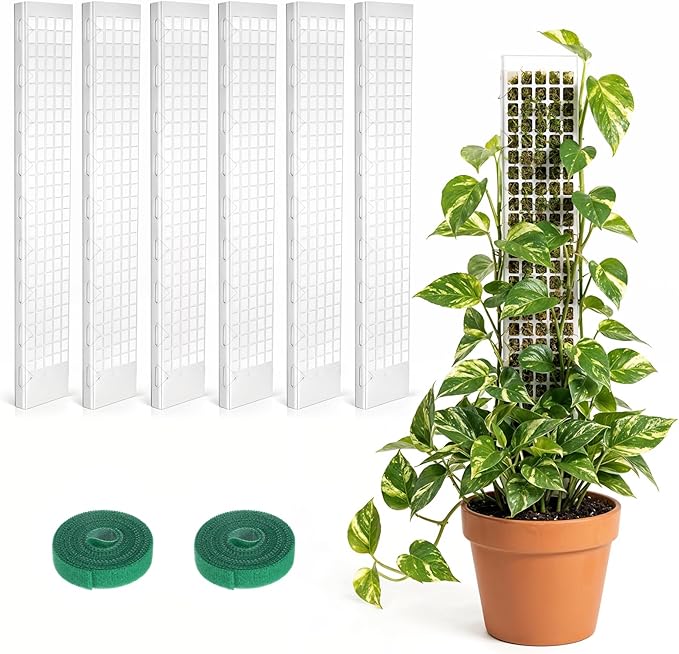 6 Pcs 24 Inch Plastic Moss Pole for Plants Monstera, D Shaped Moss Pole, Plant Poles for Climbing Plants, Plant Support for Indoor Plant Work with Sphagnum