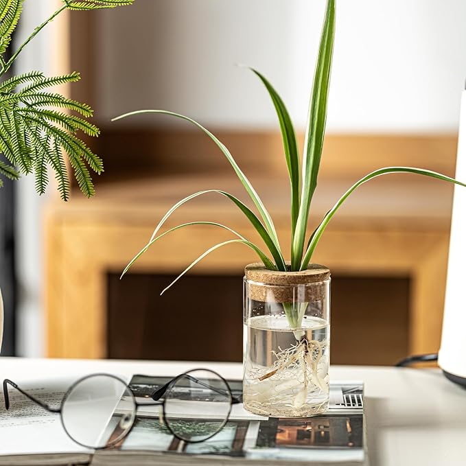Separated Desktop Glass Flower Vases - Ideal Plants Propagation Stations for Living Room, Bedroom Decoration,Home Decor (6)