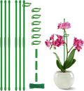 6Pcs Plant Support Stakes 17 inch SupKing Garden Orchid Sticks Extended to 3ft 4ft 5ft Plant Poles with Clips for Indoor Outdoor Potted Tomato Rose Amaryllis Vegetables Comes with 20 Ties（Green）