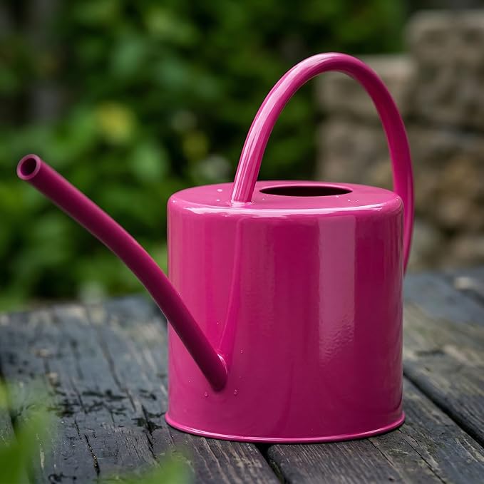 51 Ounce/1.5L Watering Can for Indoor and Outdoor Plants - Long Spout Water Can for Garden, Flower, House Plants, Decorative Watering Can(Rose)