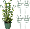 4PCS Indoor Small Trellis,Stackable Plant Trellis for Indoor Climbing Plants,Small Plant Climbing Trellis for Potted Plants Plastic Climbing,Potted Plant Trellis for Houseplants