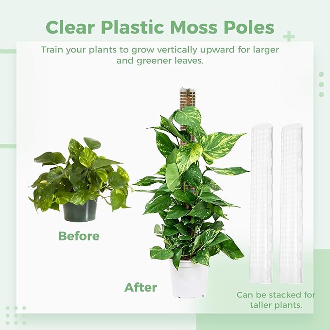4 Pcs Plastic Moss Poles, 24″ Clear Sphagnum Moss Sticks for Indoor Climbing Plants, Stackable Hollow Plant Supports with 10ft Ties, Plant Moss Poles for Monstera, White
