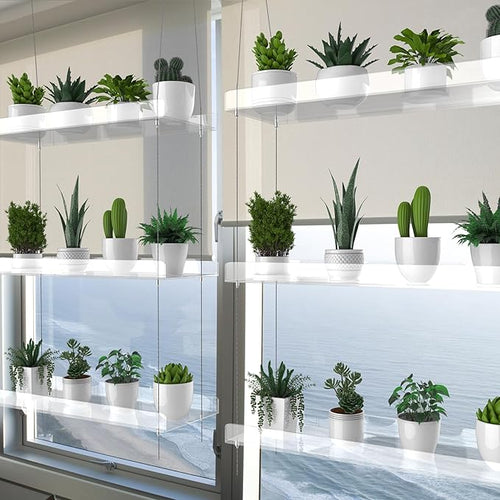 2-Pack Hanging Clear Plant Shelves for Windows, 3-Tier Acrylic Window Wall Plant Stand Shelf for Kitchen Window Indoor Gardens, Flower,Fleshy Plant,Herb, Seedling Organization, and Plants Pots Display