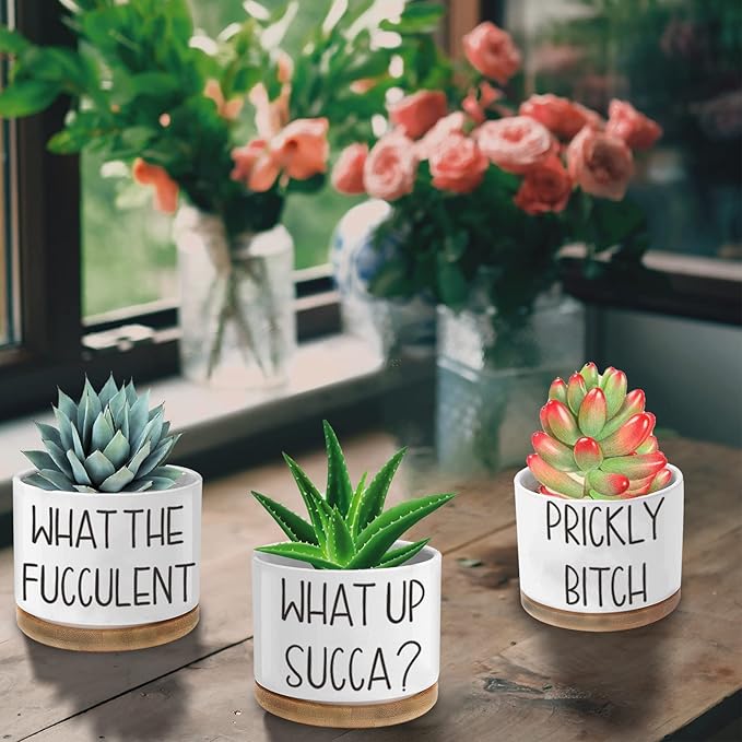 Succulent Pots with Plant Labels, Gifts for Women Birthday Unique Funny, 3.15 inch Ceramic Flower Plant Pots with Drainage Holes and Saucers, Gardening Gifts, Pack of 3 - Plants Not Included