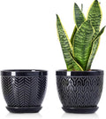 Sureasy 6.5 Inch Ceramic Plant Pots, Embossed Decorative Planters with Drainage Hole and Saucer, Modern Flower Pots for Indoor Plants, Set of 2, Black