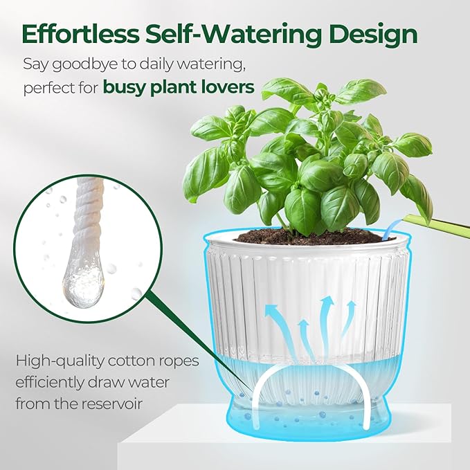 T4U 6 Inch Self Watering Pots for Indoor Plants, 4 Pack Self Watering Planter, Self Watering Pot with Reservoir, Clear Self Watering Pots for Indoor Plants, African Violets (4 Pack, 6", Clear)