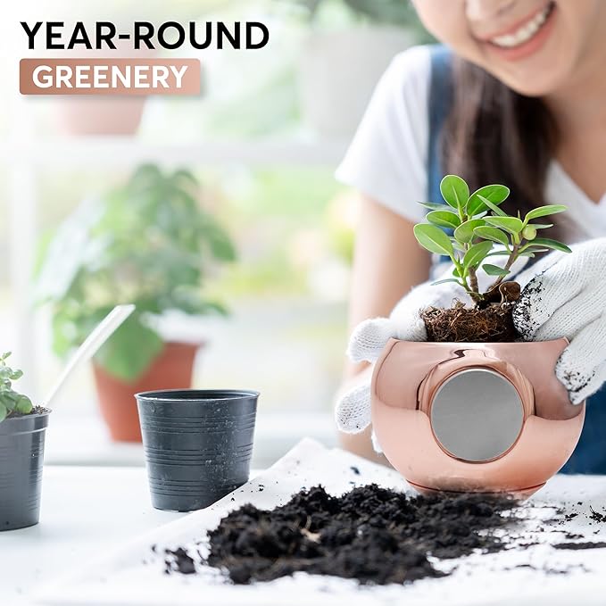 Magnetic Plant Pot - Unique Window Planter for Succulents, Indoor & Outdoor Greenery - Self-Adhesive Magnet Attachment, Drainage Holes, Detachable Reservoir - Rose Gold