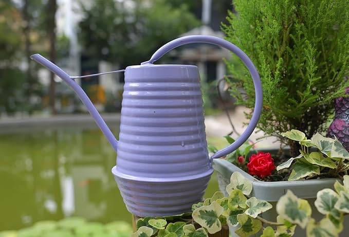 Small Watering Can, 0.3 Gallon/34oz., Violet Purple, Galvanized, Indoor Water Can, Metal Watering Can with Long Spout, Plant Water Can for Indoor Plants