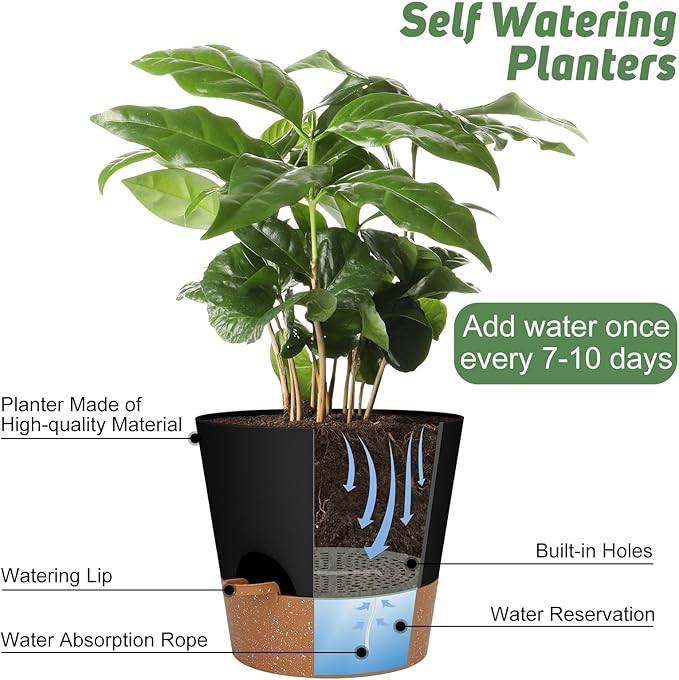 YNNICO 10-Inch Plant Pots, Self-Watering Planters with Drainage Holes & Saucers for Indoor and Outdoor Plants (2-Pack, Black)