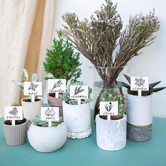 arricraft 15 Pcs Funny Acrylic Plant Labels, 15 Styles Colorful Signs with Printed Words Tags for Indoor Outdoor Greenhouse Potted Seed Herbs Patio Supplies